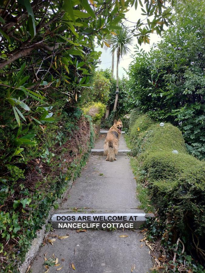 Dog Friendly Nancecliff Cottages Looe Kültér fotó