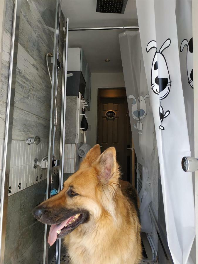 Dog Friendly Nancecliff Cottages Looe Kültér fotó