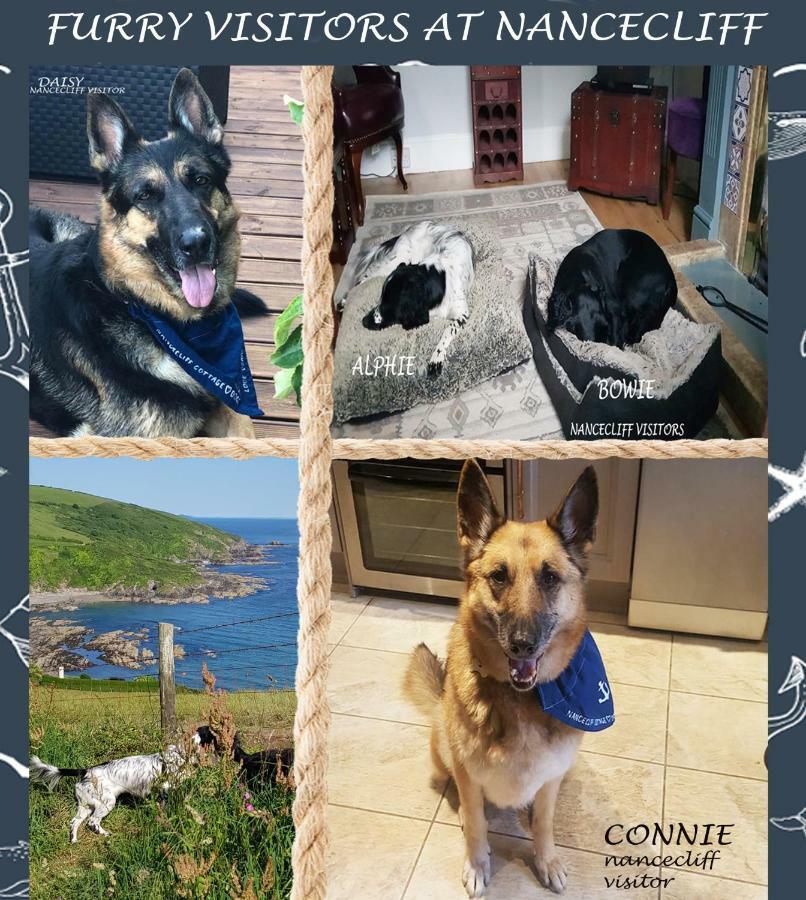 Dog Friendly Nancecliff Cottages Looe Kültér fotó