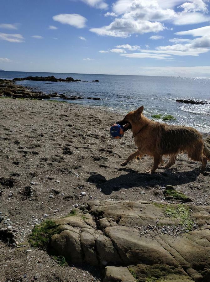 Dog Friendly Nancecliff Cottages Looe Kültér fotó